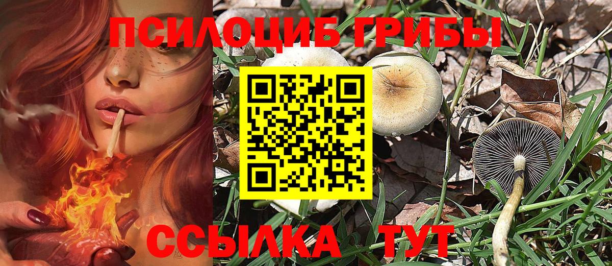 Старая Купавна  Галлюциногенные грибы Magic Shrooms  Вход с VPN 